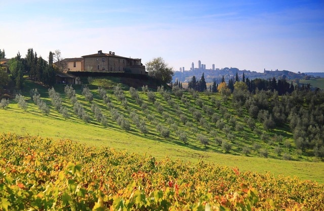 Montegonfoli 3 Stunning San Gimignano Apartment with pool, Patio & Scenic Views