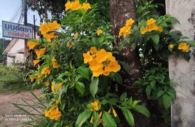 Montra Guesthouse