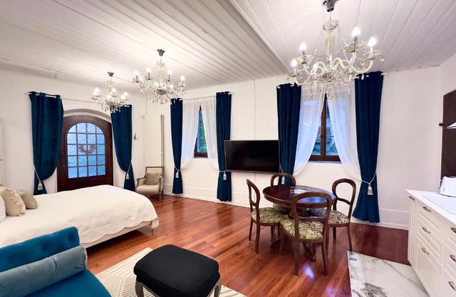 Montreux Castle | Charming Lake View Studio