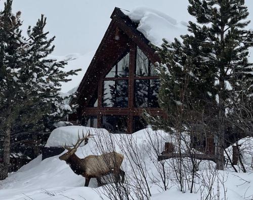 Moose Meadows Lodge - Huge Views, Great Room, Game Room, Theater
