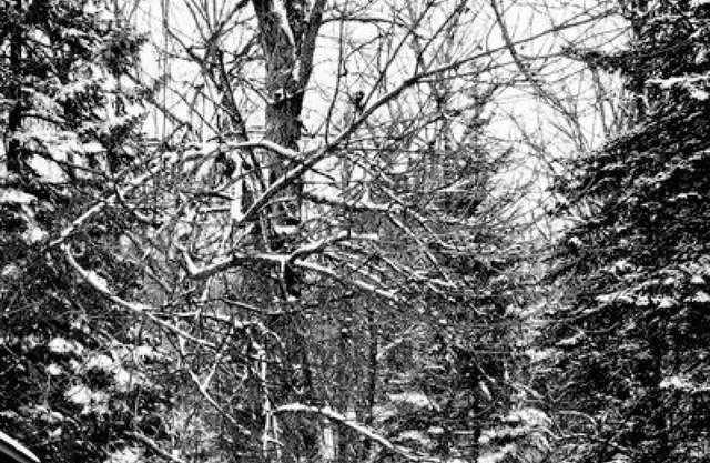Morin Heights Beautiful LAKEFRONT Ski Chalet - Available now