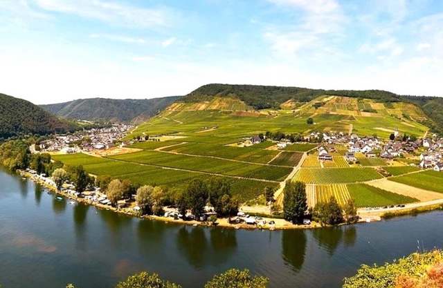 Mosea, the cozy vacation apartment on the Moselle - near Beilstein and Cochem.