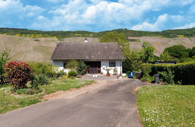 Moselle Vineyard Escape