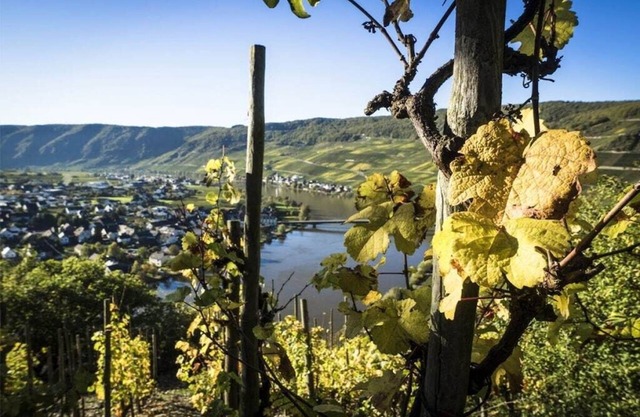 Moselsteig (EG) im Ferienhaus Weitblick