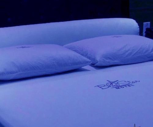 Motel Blue Star II