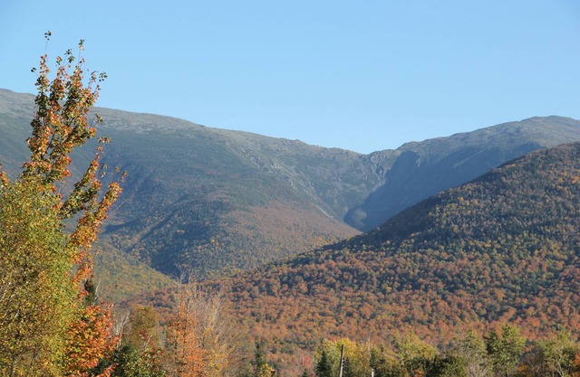 Mount Jefferson View