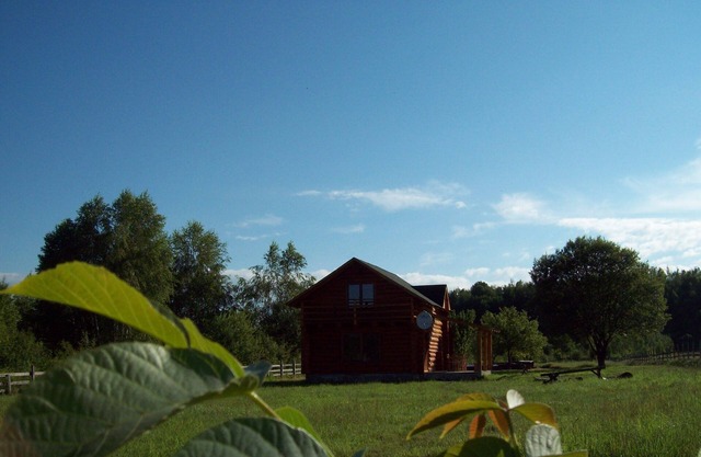 Mountain log chalet/cabin at the foot of Fagaras Range in Carpathian Mountains