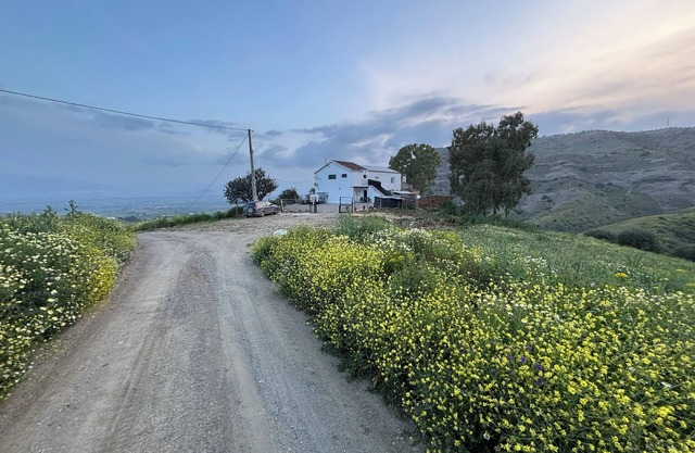 Mount Tatum apartments! A short drive to el chorro lakes