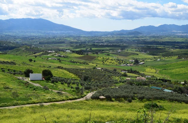 Mount Tatum
