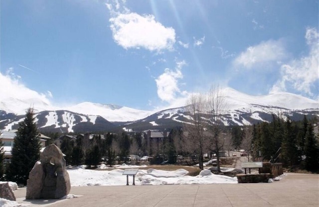 Mountain Chic Condo - Ski to Condo