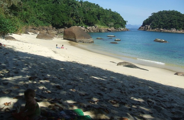 Mountain/Forest/Beach -