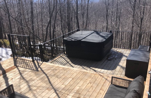 Mountain house with spa in Vertendre