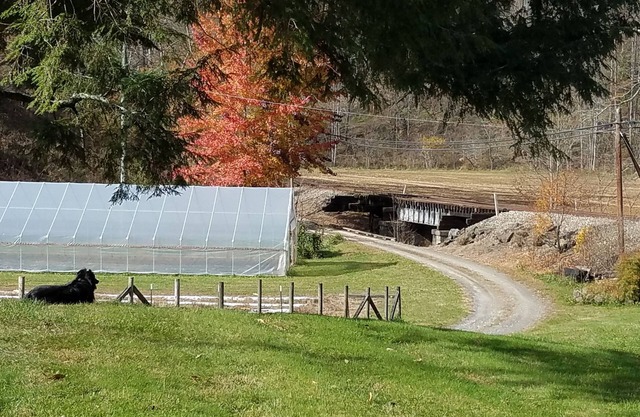 Mountain Living on the Farm by the Creek with Fishing