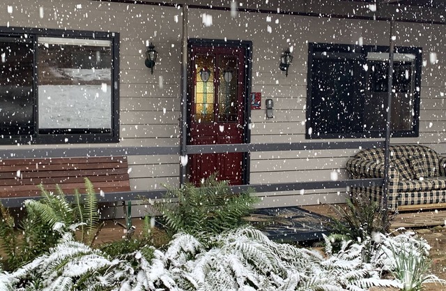 Mountain Lodge - Pet friendly -snow/water sports, hiking, mountain/motor biking