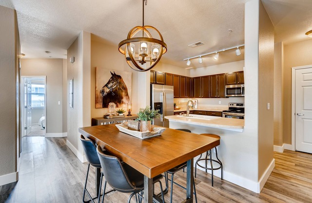 Mountain Modern Luxury 3BR 2BA Attach Garage near DTC/Parker-Short and Long Term