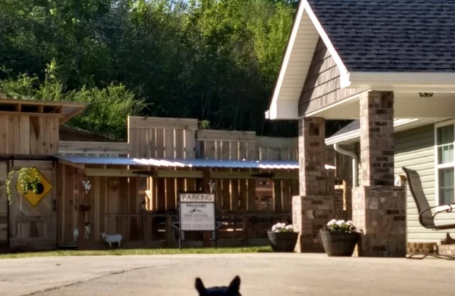 Mountain View Cottage