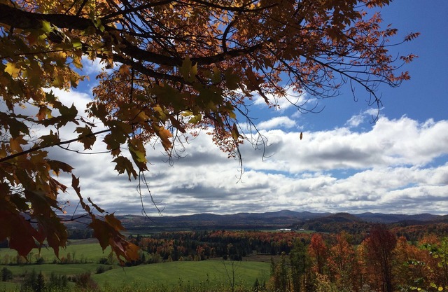 Mountain views - peaceful small ranch on 5 acres