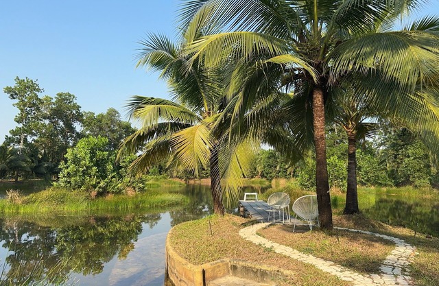 Mulberry Resort