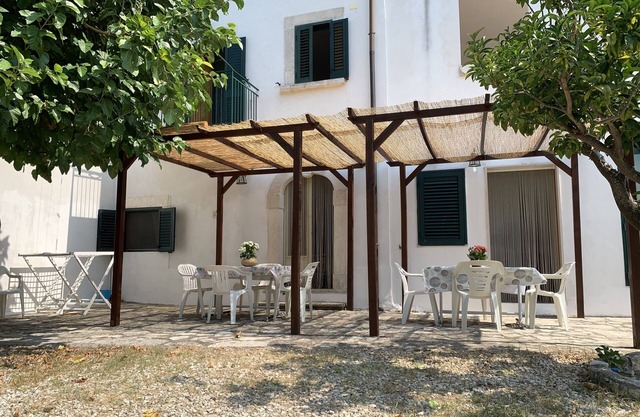 Mulberry Tree House ULIVO