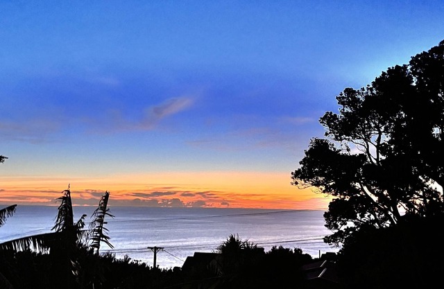 Muriwai Family Beach Gem