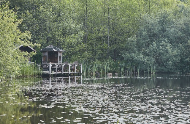 Mushroom Yurt set in 4 Acres of Woodland and Lakes