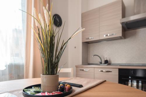 'MUSIC HOME' 15minCentral Station - LinateAirport - Metro