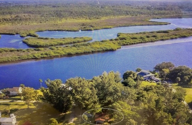 Myakka River