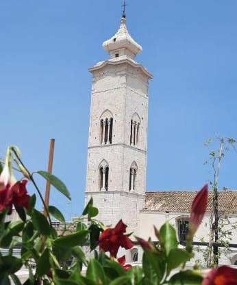 N'incanto