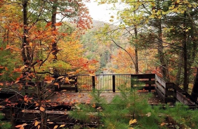 Nacoochee Valley Lodge