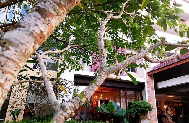 Nana Buri Hotel
