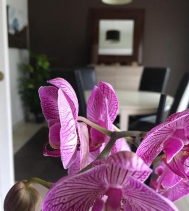 Nano House