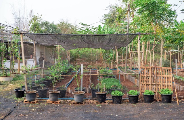 Narucha Farmstay