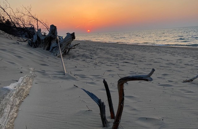 National Park Nature Lover's Paradise w/access to Chicago and Beach