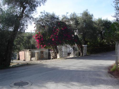 Natsios Apartments