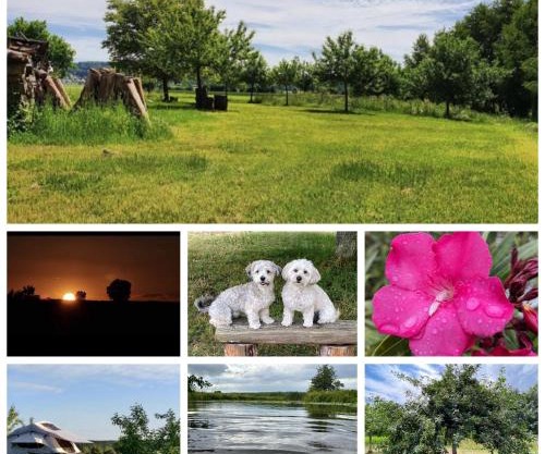 Natur, Wasser und Landleben - Camping mit eigenem Zelt