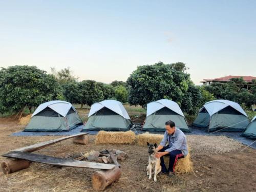 Natural camping