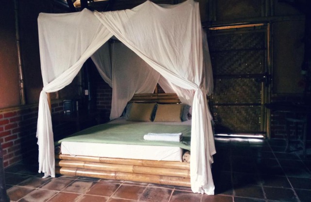 Natural Forest homestay