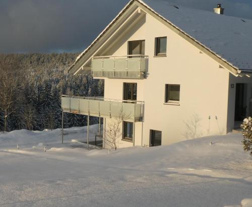 Naturapartment SCHWARZWALDSEELE Kniebis
