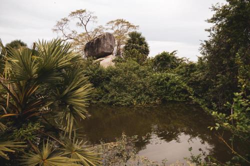 Nature garden resort