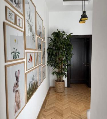 Nature-Inspired Stay in Piata Sfatului Brasov
