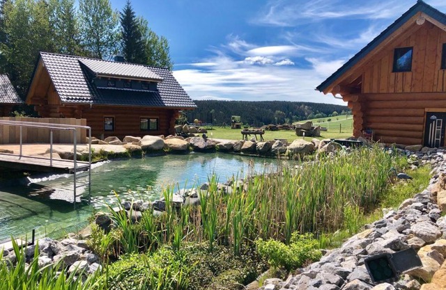 Naturstammhaus und Appartements Zum Brockenbaecker