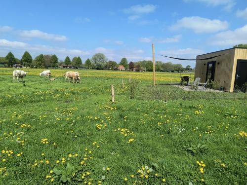 Natuurhuisje 't Hoogbos - Weidezicht