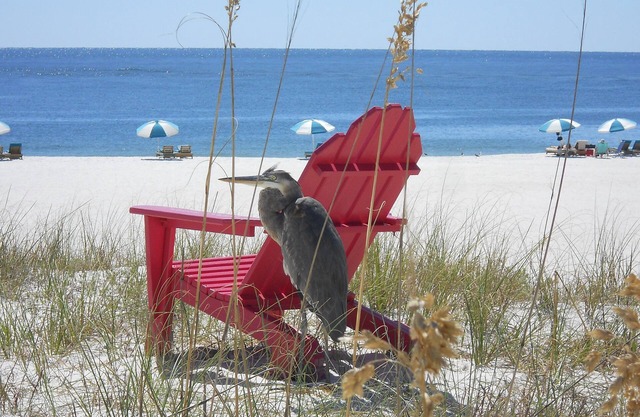 nBest views in OBA.Large unit with 2 King Suites