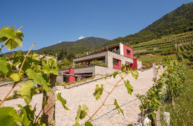 Nebbiolo Wine B&B