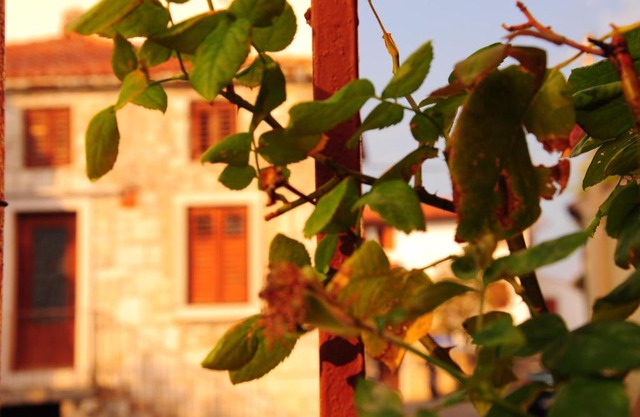 Nebojsega b&b