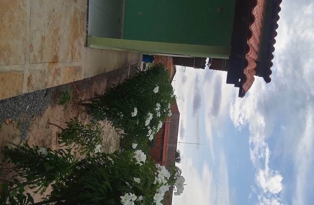 Nenca's Corner