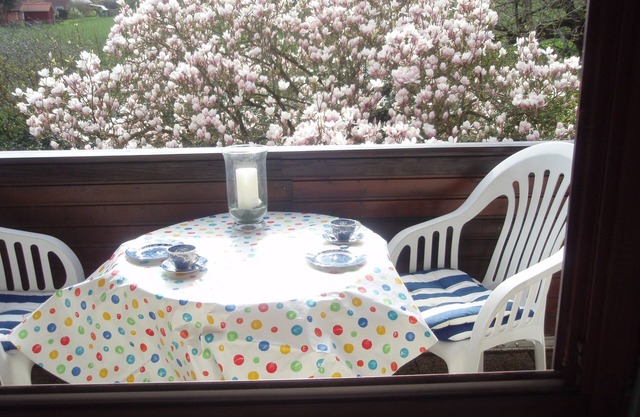 New 2016 furnished, sunny and cozy apartment is he Gottorf.