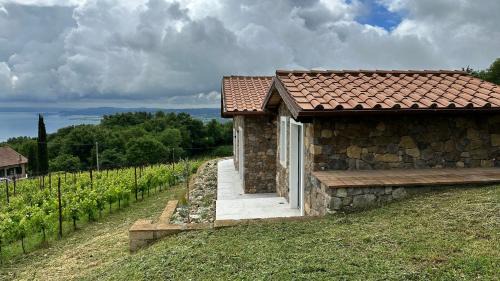 NEW! Apartment immersed in a vineyard