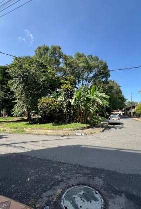 new apartment in front of the park