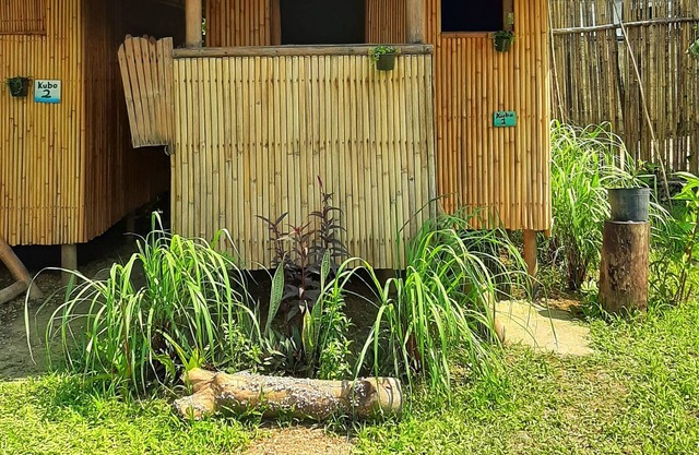 Banana Grove Backpackers Inn El Nido 
